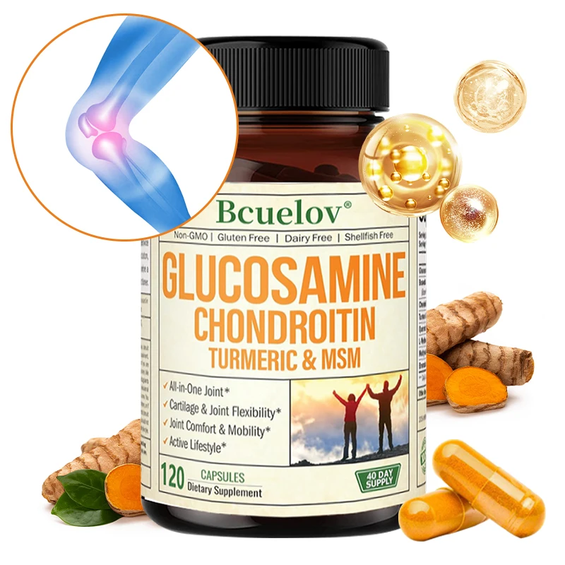 Glucosamine Chondroitin Joint - Glucosamine Chondroitin Turmeric MSM - Shellfish