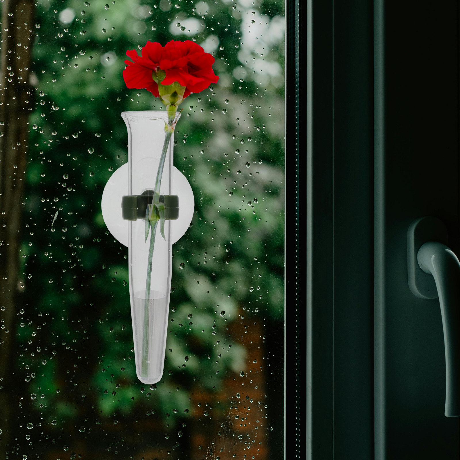 8Pcs Flower Hose Storage Silic - Nutrition & Fitness Hub Photos review and price